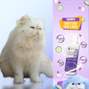 Olive Care Daily Care Shampoo (Face & Body) /Shampoo Anjing Kucing