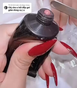 Cọ đắp gel 2 đầu Pengpeng cao cấp - Cọ đắp gel gôm chuyên dụng cho dân làm nail