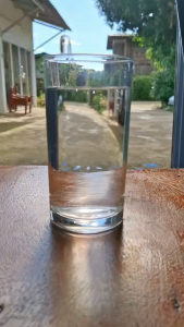 สาหร่ายพืช ผงเขียว(Seeweed Extract Powder)กระตุ้นการแตกตาดอก เร่งการเจริญเติบโต เพิ่มผลผลิต ละลายน้ำ 100 %ขนาด1000 กรัม