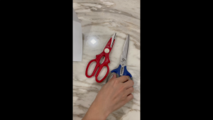 TORI HOME CARE™ Kitchen Scissor | Muliti Function Kitchen Scissor Nikken | Gunting Dapur | Gunting Ikan Sayur