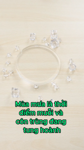Lăn muỗi Ansmokill giảm nhanh vùng sưng đau do muỗi đốt côn trùng cắn - Lọ 10ml