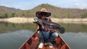 🔥NEW🔥เหยื่อยาง SR-X เหยื่อน้าพล พลลัวร์ ขนาด 4 นิ้ว หนัก 16 กรัม (ชุด 3 ตัว+เบ็ด6/0+ลวดกันฟันปลา) แอคชั่นดี ขาเตะน้ำดัง เหยื่อยางตกชะโด เหยื่องยางถูกๆ ปลายาง เหยื่อยางไทย เหยื่อชะโด