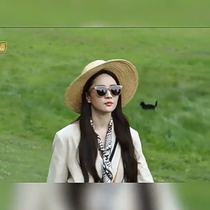 🔥Cc.👍Ins Small Face Sunglasses Female Retro Personalized Sunglasses Cat Eye Frame Sunglasses