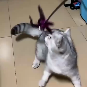 mainan lucu kucing tongkat kucing berbulu dengan warna berelatis tongkat kucing lucu