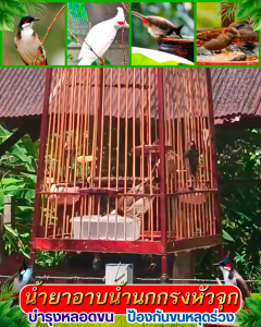 เจ้าเวหา อาบน้ำนก  ดับกลิ่นตัว ลดอาการคัน ขนร่วง เพิ่มความสดชื่น ป้องกันไรนก อ่อนโยน ขนาด 1 ลิตร แถมฟรีถ้วยให้น้ำ 1 ชิ้น