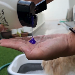 [1 FOR 1]Wahl Dog Whitening Shampoo 700ml - Pets Plant Based Brightening (Expiry 03/26).