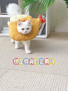 🌈PetParadise✨ ปลอกคอกันเลีย คอลล่าร์กันเลีย ปลอกคอป้องกันการเลีย ปลอกคอทำหมัน สำหรับสุนัข-แมว