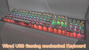 Wired Punk Mechanical Keyboard with RGB Backlit Round Keycap LED Backlight [ Black / White ]