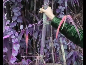 Long-handled sickle for mowing grass and corn outdoor firewood cutting knife iron handle machete hook knife agricultural garden outdoor firewood knife manganese steel multi-functional sickle