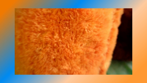 Sarung Bantal Bulu Kursi & Sofa Ukuran 40x40cm Elastis Glossy