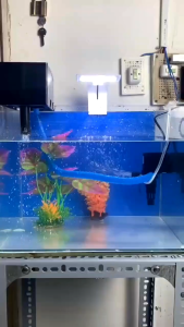 Máy Lọc Nước Cho Bể Cá Cảnh 3 IN 1 - Bơm Lọc + Thổi Luồng + Tạo Oxy - Bộ Lọc Tràn Trên Cho Hồ Cá ĐỦ SIZE 188(12w)/ 288(15w)/ 388(25w)/ 9800(35w) - Thủy Sinh Shiwa