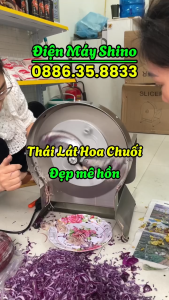 Máy Thái Rau Củ Quả Đa Năng Máy Cắt Lát Hoa Quả Sấy