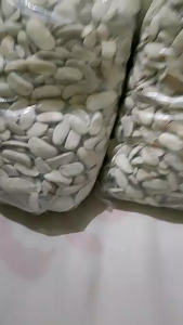 TERMURAH BIJI  MAHONI KERING 500 GRAM