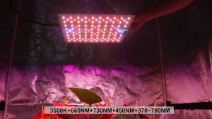 ไฟปลูก ไฟปลูกพืช 65W 120W SamsungLM301H EVO full spectrum led grow light 730+660NM turn on/off ไฟปลูกต้นไม้ หรี่แสงได้ ไฟช่วยต้นไม้ตัวเร็ว