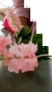 TYPT55 Pot Tanaman Hias Bunga Hias Plastik: Dekorasi Pot Bonsai Artificial Flower