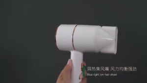 Low-noise Pet Hair Dryer: A Compact & Fast Drying Solution