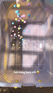 BUBBLE GUM FLOAM [FLOAM WARNA WARNI ]