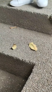 Hanns Proof Sneaker Wipes & Fresh Step Shoe Cleaning Wipes: On-the-Go Solution for Instant Shoe Refreshment