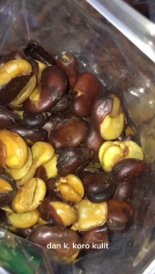 KACANG KORO KULIT 230GR DAN 500GR / GURIH ASIN SPECIAL MERK JAIPONG