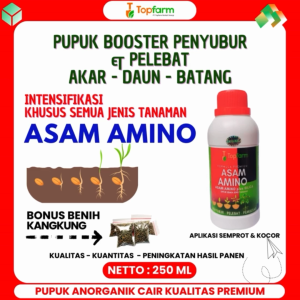Asam Amino Pertanian: Manfaat & Cara Penggunaan