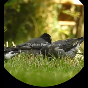 Teropong 50000M German Military 20X50 Zoom HD BAK4-Prism Powerful Binoculars Long Range Professional Telescope Low Night Vision Camping