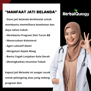 HerbalQulogy - DAUN JATI BELANDA Isi 60 & 100 Kapsul Murni 100% Asli 30 kapsul daun jati Belanda