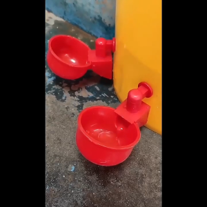 6Pcs Chicken Cup Waterer Water Cups Automatic Water Drinker Bowl Feeder for Poultry Duck Goose