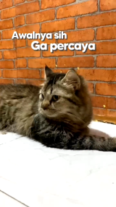 Pengusir kucing Ampuh 100% Bahan Alami Tidak Mengandung Racun Aman Untuk Tumbuhan