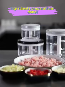 ECOCO Food Processor Manual Garlic chopper Meat Grinder Mini Onion Crusher Baby food processor