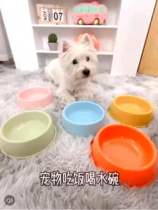 Pet Food Bowls Travel Footprint Feeding Feeder Water Plastic Bowl For Dog Cats Puppy Food Bowl