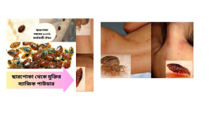 Bedbug killer Spray Dustmite Control kutu Spray Ya Shi Jing Bedbug PowderUbat lipasছারপোকার ঔষধ