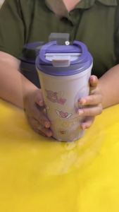 FOREVER - Botol Karakter Minum Mug Termos Sanrio Pola 5D 500ML BOX Termos Stainless - 2360