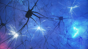 Natural Cognitive Support Nootropics - Enhance Focus and Mental Clarity