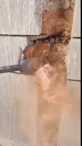 MATA BOR BOBOK SDS PLUS PANJANG 250 MM LANCIP DATAR