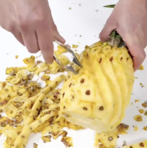 Capitan Mata Nanas / Pencapit Mata Nanas Bahan Stainless Steel Anti Karat