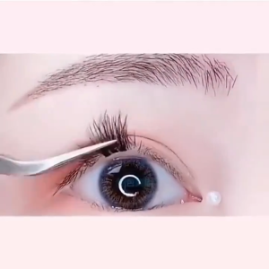 Eyelash Extension Set: 10D 20D 30D 40D & 5 Rows Soft Mink DIY Makeup Cosmetic