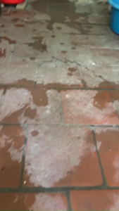 PHAO ĐÀI ĐỔI MÀU THÔNG MINH HẮC BẠCH CHUYÊN CÂU CÁ NHÁT TÙNG LÂM CAM KÉT HÀNG CHẤT LƯỢNG CAO