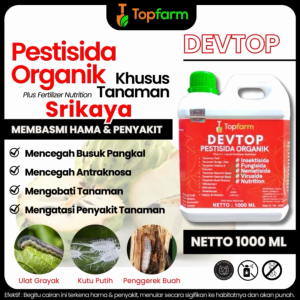 Obat Semprot Srikaya / Obat Semut Pada Pohon Srikaya / Obat Hama Jamur Tanaman Pohon Srikaya / Obat Ulat Buah Srikaya / Obat Jamur Batang Dan Buah Srikaya/ Obat Lalat Buah Srikaya / Obat Semut Ampuh