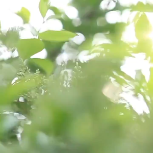 Portable Mini Handheld Fan USB Rechargeable Portable Mini Fan Small Usb Fan Kipas Pegang Kecik Portable Fan