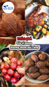 Thảo quả khô 500g quả to thơm nguyên liệu gia vị nấu phở gà ủ muối mai quế lộ thơm ngon chuẩn vị