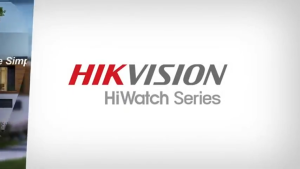 Hikvision 2MP / 4MP HiWatch Series With EXIR Network Outdoor Fixed Dome Camera IP67 Waterproof