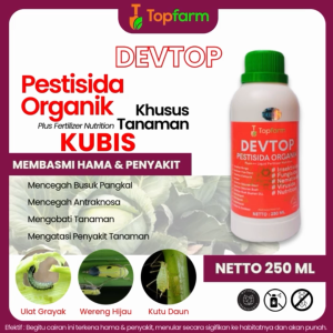 Obat Hama Buat Kubis / Insektisida Nabati Tanaman Kubis / Obat Hama Kubis Kol / Obat Hama Kaper Kubis / Obat Hama Tanaman Kubis / Obat Hama Kubis / Insektisida Hama Ulat Kubis / Insektisida Kubis - Lazada