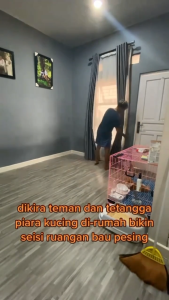 Penghilang Bau Pesing Dan Kotoran Kucing Spray Menghilangkan Bau tidak Sedap Di Pasir Kandang Kasur Sofa Pet Odor Remover Spray