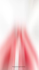 Phuộc ATR Không Bình Dầu Exciter 150 Ex155 205mm - Exciter 135 200mm