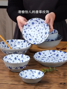 Bộ bát đĩa sứ hoa nhí xanh Tono Toki Nhật Bản kích thước đa dạng | Sa Maison x MinoWare