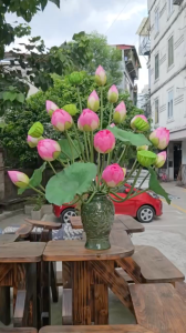 Bình Hoa Sen Quan Âm Lụa Cao Cấp Bình Hoa Để Bàn Trang Trí Nhà Cửa Nhà Hàng Khách Sạn DG-598