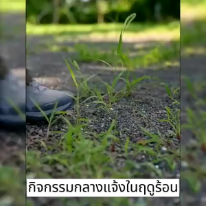 🐍ติดทนนาน 90 วัน🐍 ผงไล่งู กันลมและฝน ผงไล่งู ผงกํามะถันไล่งู ผงไล่งูกลางแจ้ง ผงไล่งู ตะขาบ ไล่ ไล่สัตว์ มี พิษ ทุก ชนิ