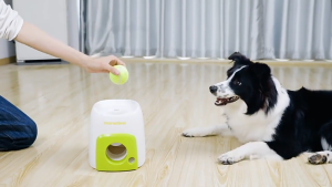 Pet Cat Dog Automatic Ball Launcher Toy For Dog Interactive Trainning Toys Balls Food Reward Machine