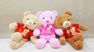 Boneka Teddy Bear Beruang Baju Kaos Tali Bordir 14