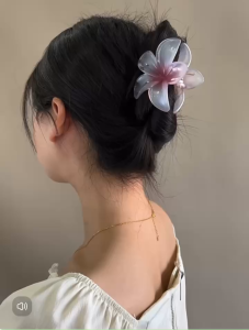 Kẹp tóc hoa sứ tráng gương Doudou Cặp tóc nữ Kẹp càng cua phong cách Hàn Quốc thời trang ZJ078